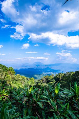 The mountains view with clouds in Huai Nam Dang national park, Thailand.