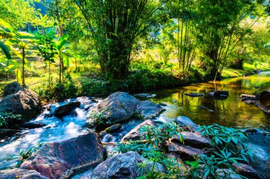 Mountain stream in Chiangmai province, Thailand.