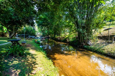 Mountain stream in Chiangmai province, Thailand.