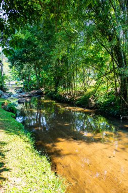 Mountain stream in Chiangmai province, Thailand.