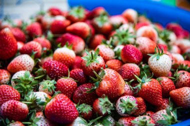 Tayland 'da taze çilek..