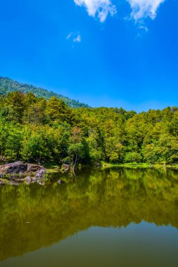 Lake view with reflection in Doi Inthanon national park, Thailand.