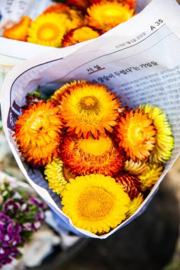 Hasır Çiçek Paketi, Tayland.