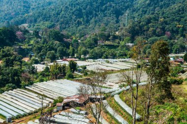 The mountain view of Doi Inthanon national park in Chiangmai province, Thailand.