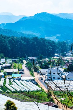 The mountain view of Doi Inthanon national park in Chiangmai province, Thailand.