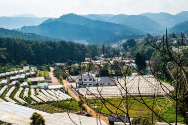 The mountain view of Doi Inthanon national park in Chiangmai province, Thailand.