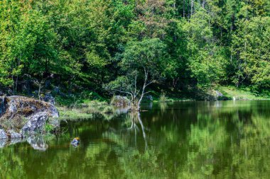 Lake view with reflection in Doi Inthanon national park, Thailand.