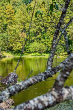 Lake view with reflection in Doi Inthanon national park, Thailand.