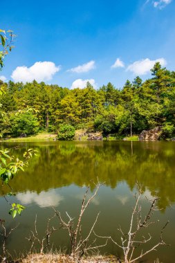 Lake view with reflection in Doi Inthanon national park, Thailand.
