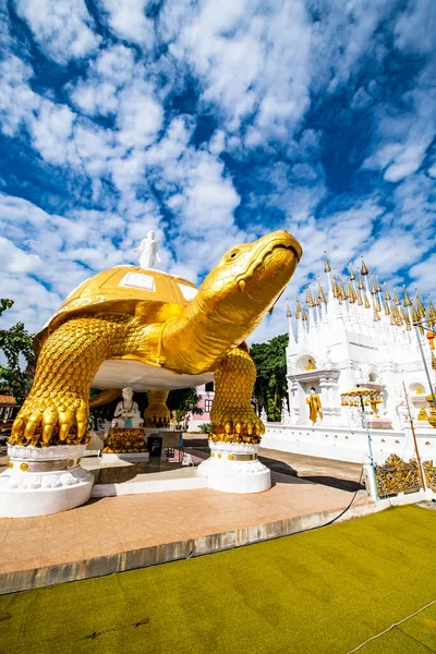 Велика Статуя Черепахи Храмі Понг Сунан Таїланд — стокове фото