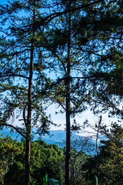 Mountain View Doi Kiew Lom View Point Huai Nam Dang — Stockfoto