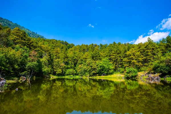 Lake view with reflection in Doi Inthanon national park, Thailand.