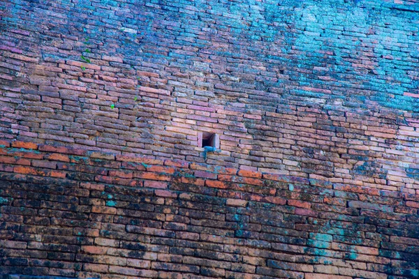 Water monitor on brick wall, Thailand.