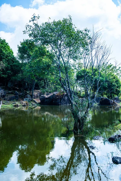 Göl manzaralı Doi Inthanon Milli Parkı, Tayland.