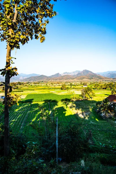 泰国南道普阿县的国家景观 — 图库照片