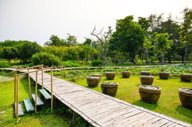 Suan Rot Fai, Bangkok, Tayland 'da karanlık bir parktır..