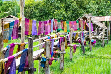 Nan Eyaleti 'nin Pua Bölgesi' nde pirinç tarlası olan kuzeyli kumaşı..
