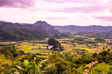 Phayao, Tayland 'daki Phu Langka bakış açısı.