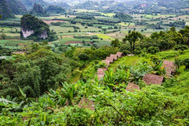 Phayao, Tayland 'daki Phu Langka bakış açısı.