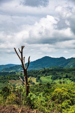 Tayland 'ın Phayao eyaletindeki dağ manzarası.