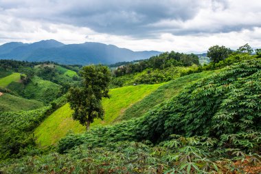 Tayland 'ın Phayao eyaletindeki dağ manzarası.