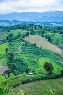 Tayland 'ın Phayao eyaletindeki dağ manzarası.