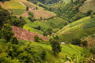 Tayland 'ın Phayao eyaletindeki dağ manzarası.
