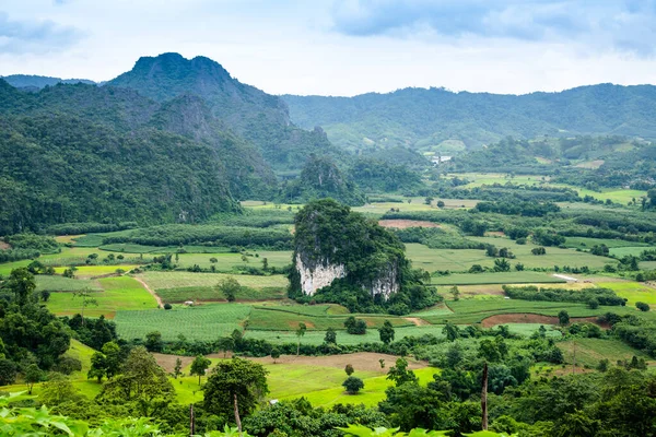Vista Montaña Del Parque Nacional Phu Langka Provincia Phayao Tailandia — Foto de Stock