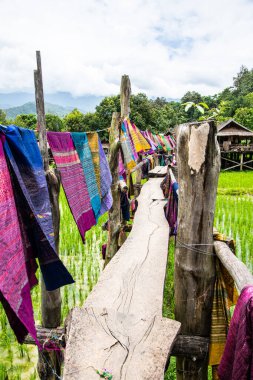 Tayland 'ın Pua bölgesinde pirinç tarlası olan küçük bir köprü..