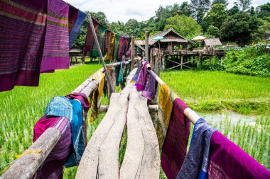 Tayland 'ın Pua bölgesinde pirinç tarlası olan küçük bir köprü..