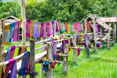 Nan Eyaleti 'nin Pua Bölgesi' nde pirinç tarlası olan kuzeyli kumaşı..