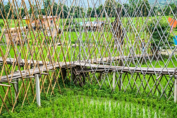 Μικρή Γέφυρα Ορυζώνες Στην Περιοχή Pua Ταϊλάνδη — Φωτογραφία Αρχείου