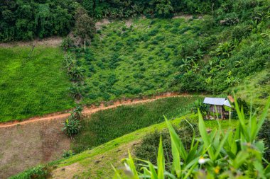 Tayland 'ın Phayao eyaletindeki dağ manzarası.