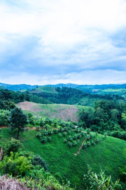 Tayland 'ın Phayao eyaletindeki dağ manzarası.