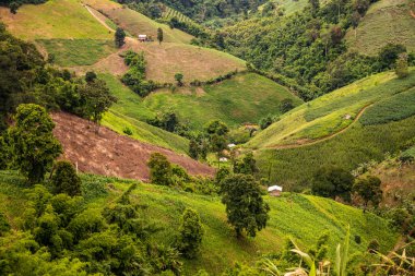 Tayland 'ın Phayao eyaletindeki dağ manzarası.