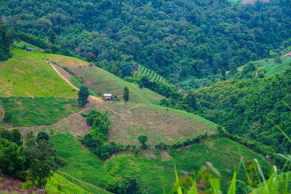 Widok Góry Prowincji Nan Tajlandia — Zdjęcie stockowe
