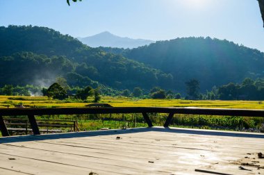 The Platform for Viewing in Flower Garden, Chiang Mai Province.