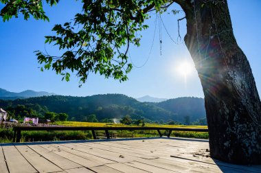 The Platform for Viewing in Flower Garden, Chiang Mai Province.