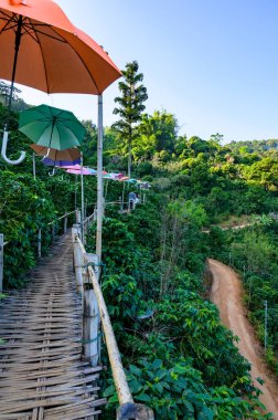 Bamboo walkway with beautiful mountain view at Pha Hi village, Chiang Rai province.