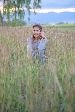 A woman is sitting in the rice field, Phayao province.