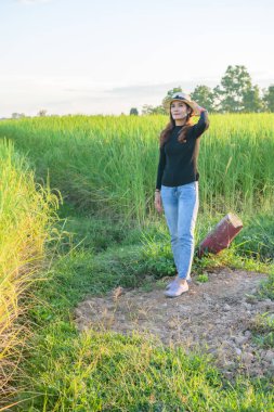 Thai Female with Rice Field Background, Phayao Province.