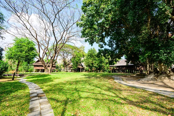 Lanna Traditional Houses Grass Yard Chiang Mai Province Thailand — Stockfoto