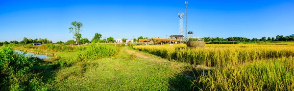 Панорама Вид Квітковий Сад Рисовим Полем Провінції Чіангмай Таїланд — стокове фото
