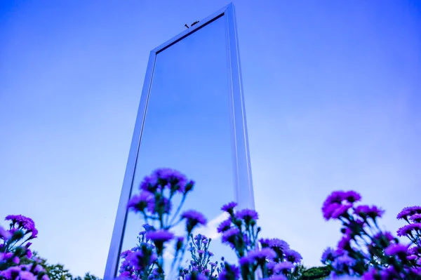 Violet Λουλούδια Καθρέφτη Στον Κήπο Chiang Mai Επαρχία — Φωτογραφία Αρχείου