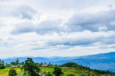 Pa Bong Piang Rice Terraces at Chiang Mai Province, Thailand.