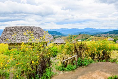Pa Bong Piang Rice Terraces at Chiang Mai Province, Thailand.