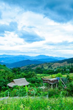 Mountain View at Baan Pa Bong Piang in Chiang Mai Province, Thailand.