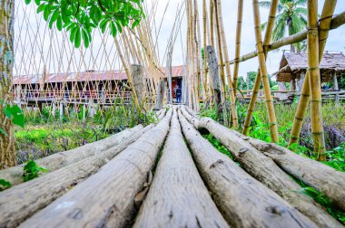 Small Wood Bridge in Park at Pua District, Nan Province.