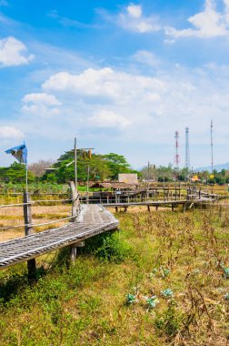 The wooden bridge with rice field at Phrathat San Don temple, Lampang province.