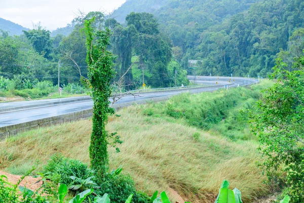 Highway Rain Chiangmai Province Thailand — Zdjęcie stockowe